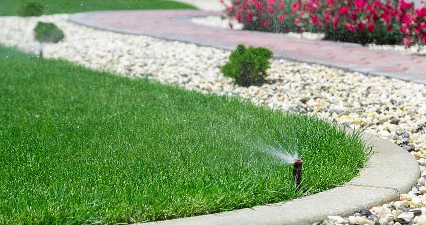 Når det er stående vann eller lekker vann på sprinkleren lengst fra sprinklersoneventilene