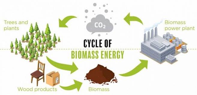 Biomassedrivstoff kan omdannes direkte til varmeenergi gjennom forbrenning
