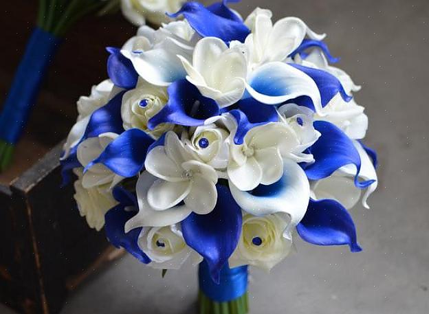 Blå dendrobium orkideer