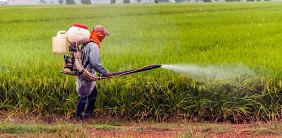 Pesticider som brukes i og rundt hjemmet