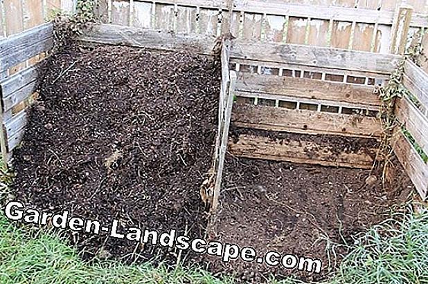 I hovedsak er kompost nedbrutt organisk materiale som ofte brukes som jordjustering for å tilsette organisk
