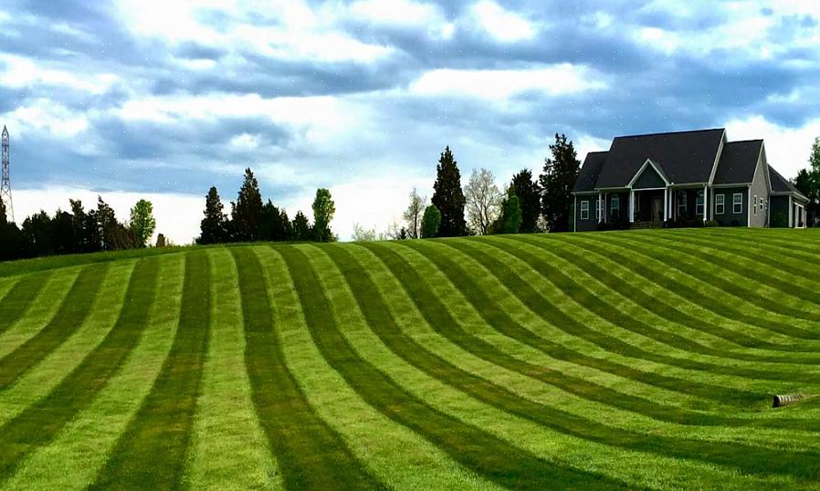 Striping er ikke mer enn å skyve gresset ned i den ene retningen