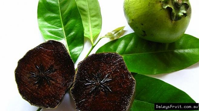 Jeg har hatt lykken med å prøve en svart sapote (også kjent som sjokoladepuddingfrukt eller sjokoladesapote)