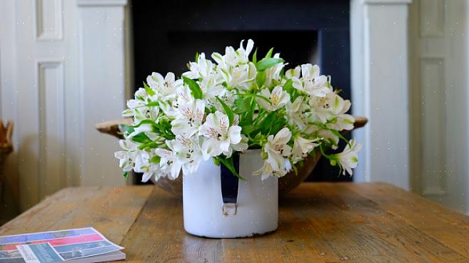 Feng shui-utfordringen med en tørket blomst er å holde energien frisk