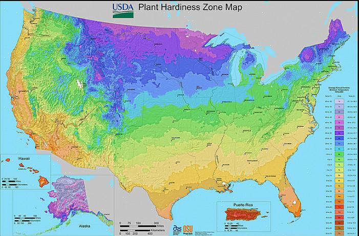 Hvis du ikke er sikker på hvilke planter som vil trives i din spesielle beliggenhet i North Carolina