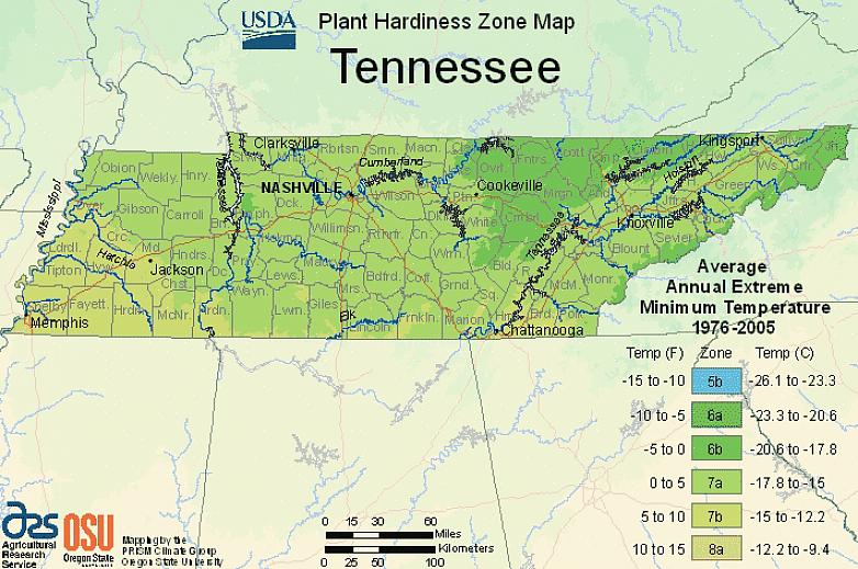 USDA plantehardiness sonene bestemmes av den gjennomsnittlige årlige minimum vintertemperaturen