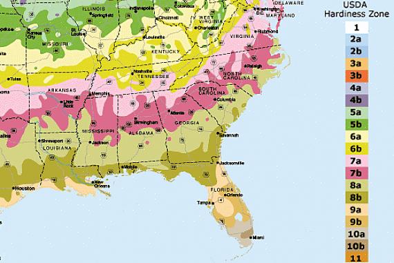 Florida USDA hardiness soner