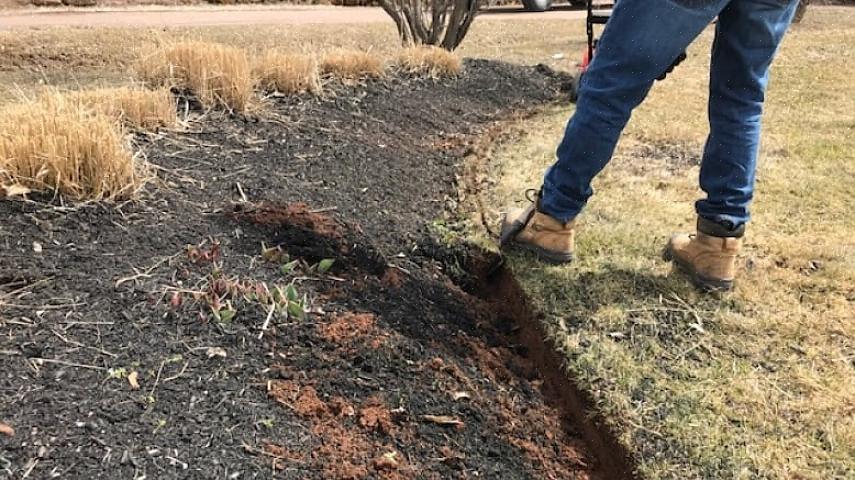 Hva gjør du med gammel mulch som hadde blitt liggende på toppen av årlige blomsterbed eller grønnsaksbed