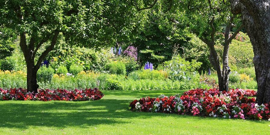 Hvis du fremdeles tror det eneste som blomstrer i skyggen