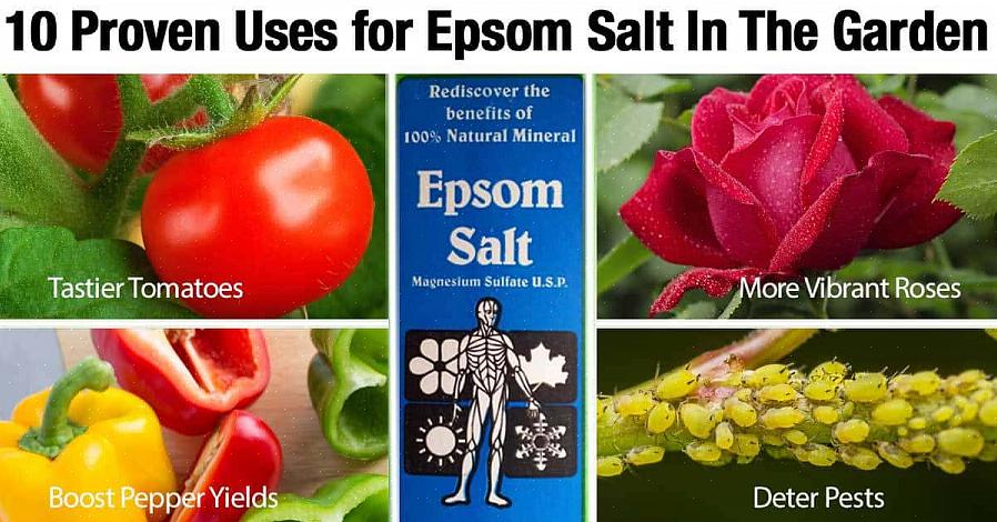 Bland en spiseskje Epsom-salter per liter vann