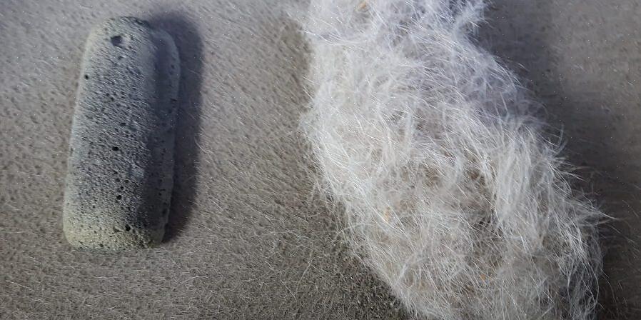 Og bruk en klesbørste eller klebrig lofrulle for å fjerne den gjenværende pelsen