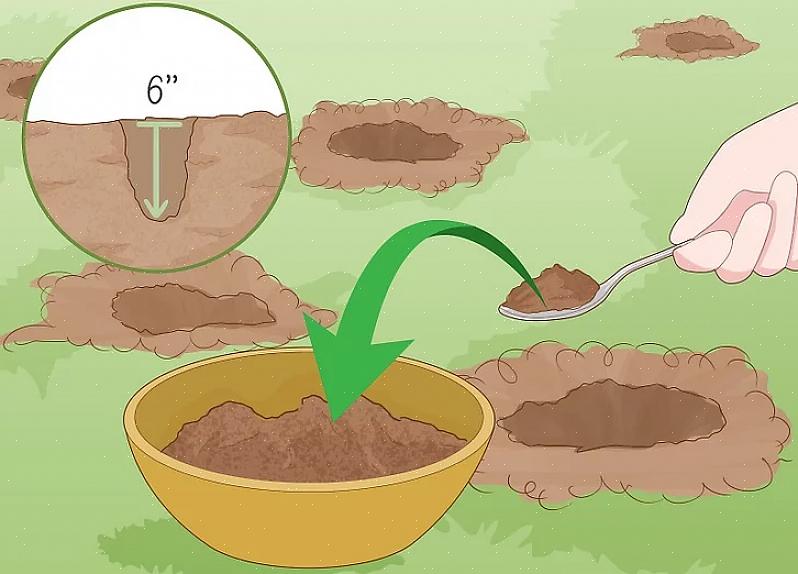 De fleste planter kan tilpasse seg jordens pH som varierer fra 6 til 7,5