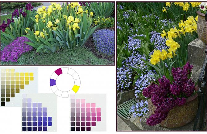 En vanlig måte å kategorisere fargene i spekteret er ved å dele dem i varme farger