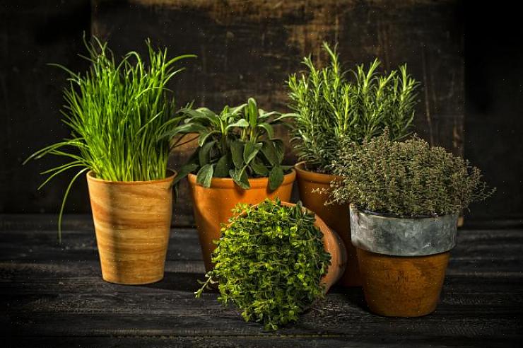 Det er de tre grunnleggende måtene å bruke essensielle oljer for god feng shui-energi