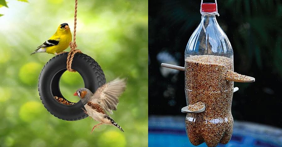 Et flott familieprosjekt for fugleelskere gjør en vanlig 2-liters plastflaske til en funksjonell fuglemater