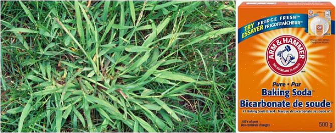 Pre-emergent herbicides (også kalt "crabgrass preventers") kommer i enten en granulær eller flytende form