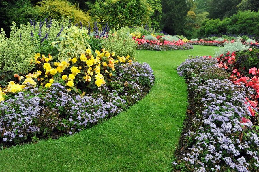 Landskapsarbeid på et budsjett med billige planter