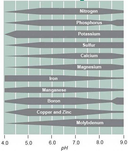 Den ideelle jord-pH-verdien for de fleste landskapsplanter
