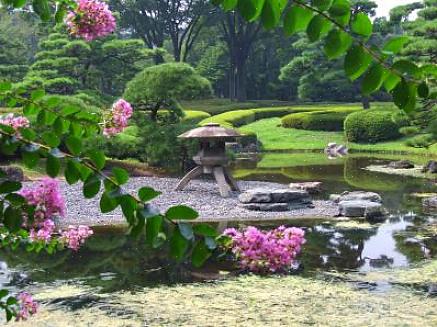 Å lage en Zen-hage er en måte å skape en meditativ plass i hagen