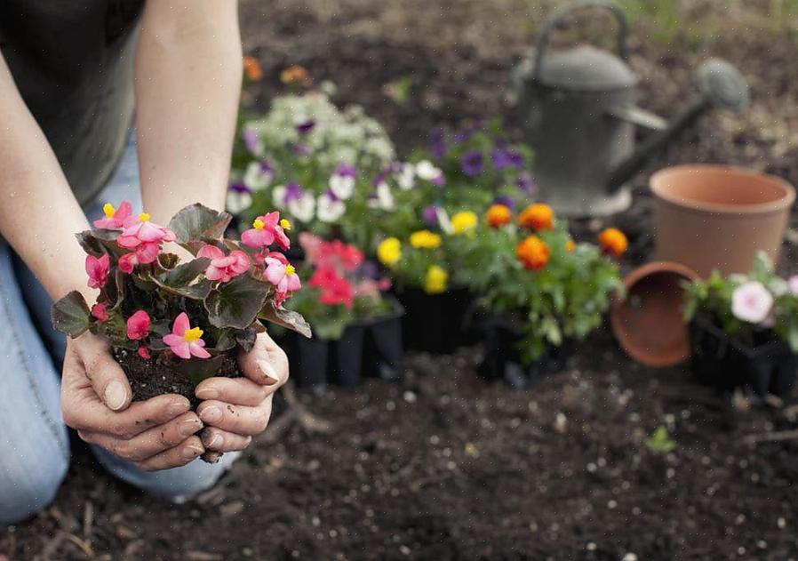 Årstidens sesongmessige natur betyr at drivhus