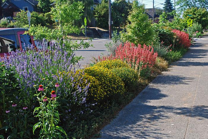 Kan bli stedet for en kjevefallende blomsterhage hvis du omfavner trenden med parkeringsstrimler