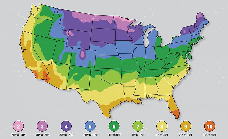 USDA Plant Hardiness Zone-kartet er en mye brukt referanse som hjelper gartnere