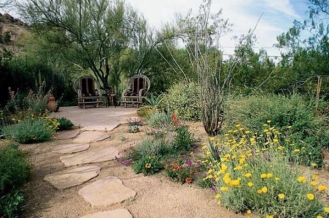 Xeriscape landskapsarbeid eller