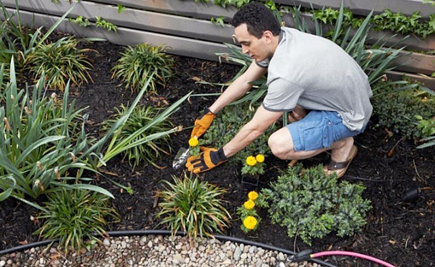 Den første smarte ideen i et prosjekt med ugressbekjempelse uten kjemikalier i hager er å forberede