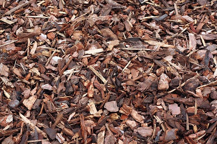 Et 7,60 cm lag med organisk mulch handler vanligvis om riktig mengde å bruke rundt planter