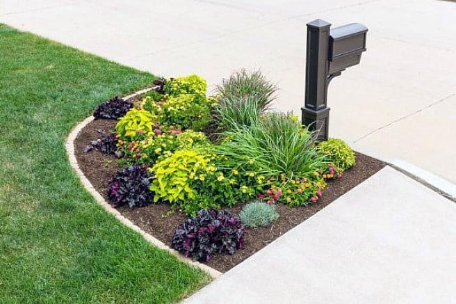 De beste flerårige blomstene du kan plante rundt postkasser ved veikant eller street boulevardstrimler