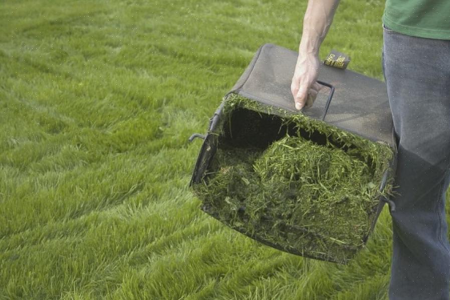 En god måte å komme deg rundt med å måtte pakke eller rive gressklipp er å klippe med en gressklipper