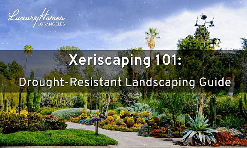 For noen landskapsarbeidere betyr xeriscape landskapsarbeid ganske enkelt å gruppere planter med lignende