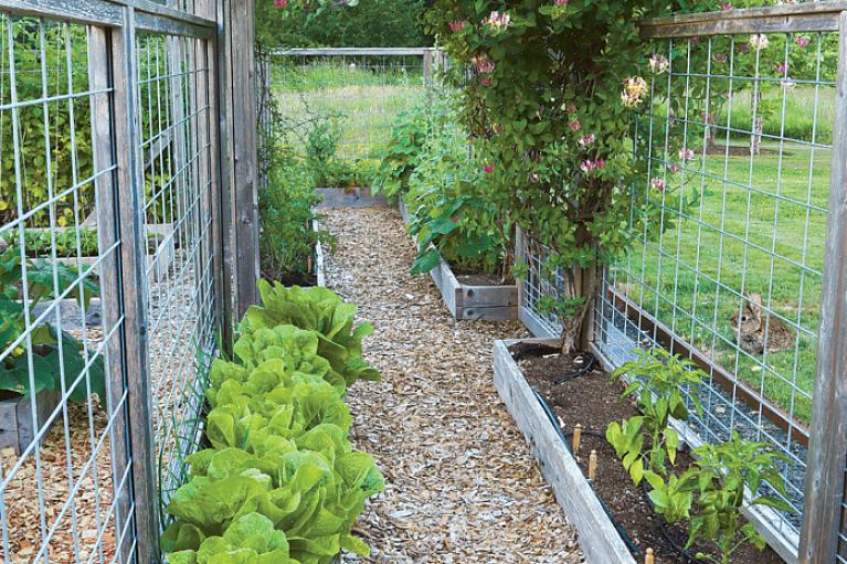 Enkelte rader med planter kan ta mer plass enn brede rader