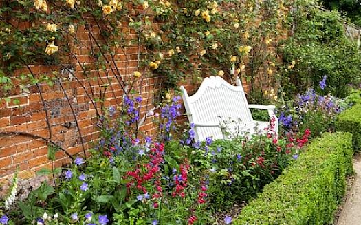 Planter med burgunder løvverk fyller gapet mellom blomstrende sykluser i sommerblomstringen