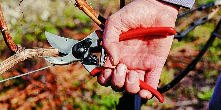 Det er i utgangspunktet tre typer håndbeskjæringsmaskiner