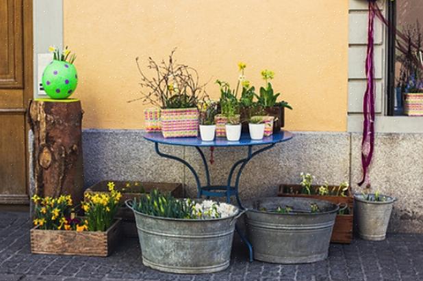 Løft potteplanten fra bakken så snart bakken tiner