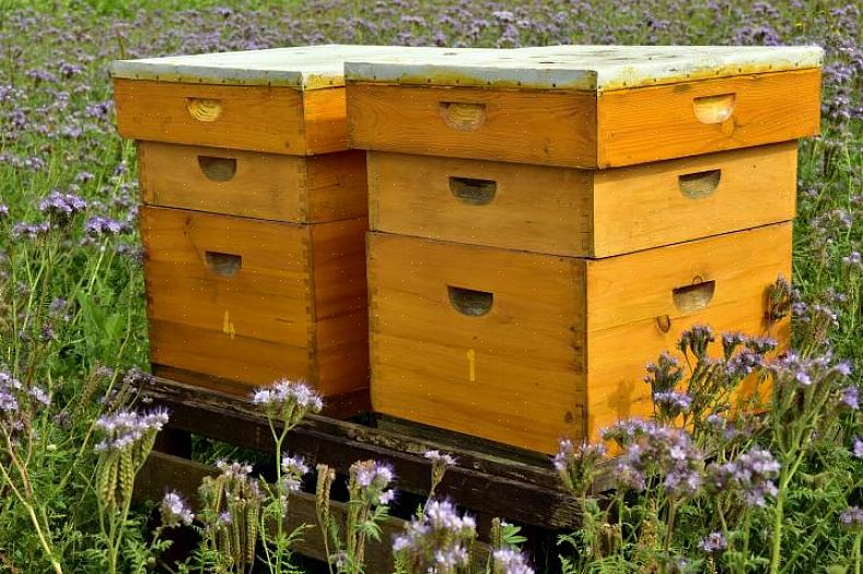 Denne stilen kalles "ti-ramme" fordi det indre av hver bikube inneholder ti rammer for å holde honning