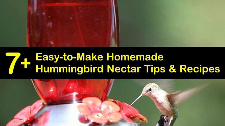 Hummingbird-nektar er en enkel sukkervannsløsning