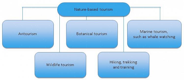 Turisme som fokuserer på