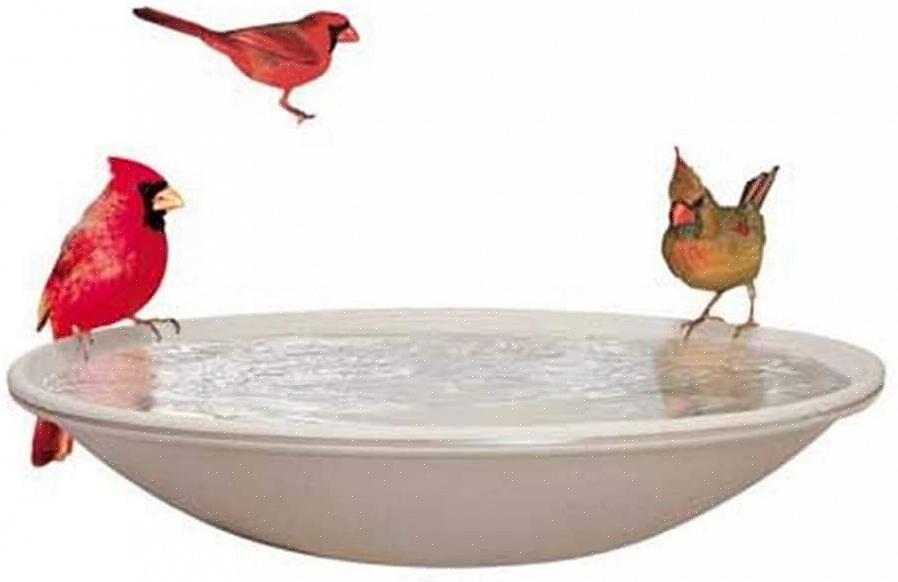 Ved å bruke et oppvarmet fuglebad på riktig måte er det enkelt å forsyne fuglene i bakgården med nok