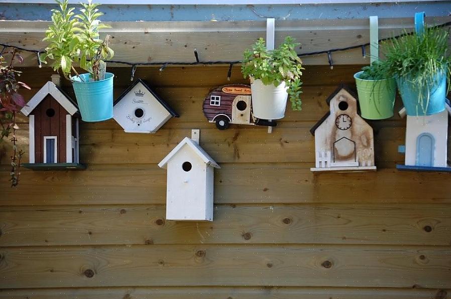 Birdhouse kits er et flott alternativ for å bygge et birdhouse hvis du ikke har mye trebearbeiding dyktighet