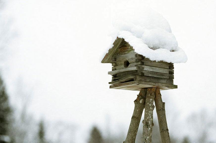 Det er enkelt å konvertere fuglehus til vinterfuglbokser